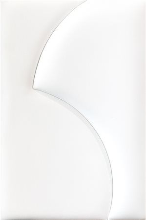 SAMUELE VENTANNI (1986) - Introiezione bianca, 2015