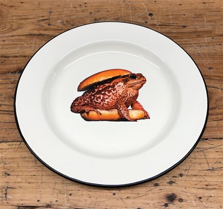 MAURIZIO CATTELAN (1960) - Rospo, 2012