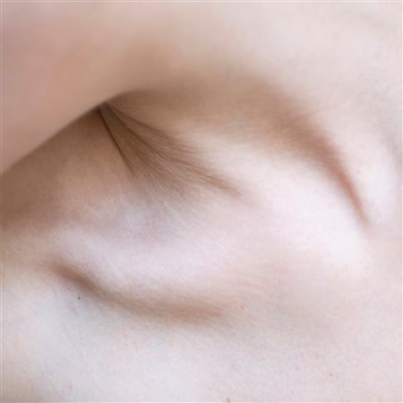 Sveva Angeletti Senza titolo (Fiuto la forma ma sul più bello mi distraggo)