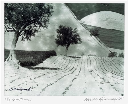 MARIO GIACOMELLI La mia terra