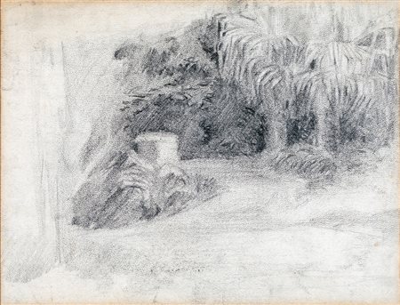 CARLO ERBA Interno di giardino con palme