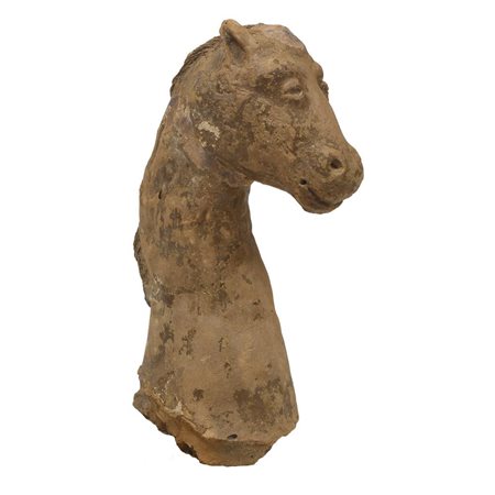 PROTOME DI CAVALLO DATAZIONE: periodo alto medievale, IX-XI sec. d. C....