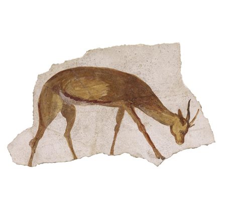 CERBIATTO DATAZIONE: I-II sec. d. C. MATERIA E TECNICA: intonaco dipinto...