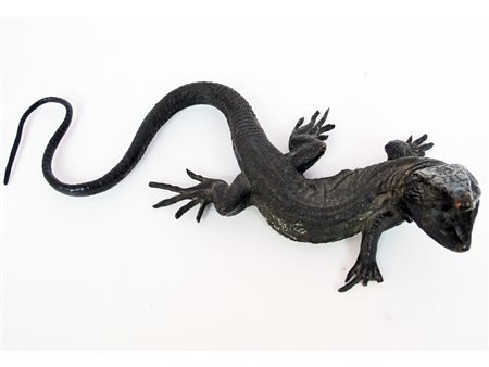 Anonimo (XIX secolo) Ramarro Bronzo Piccole mancanze ad una zampa Lunghezza...