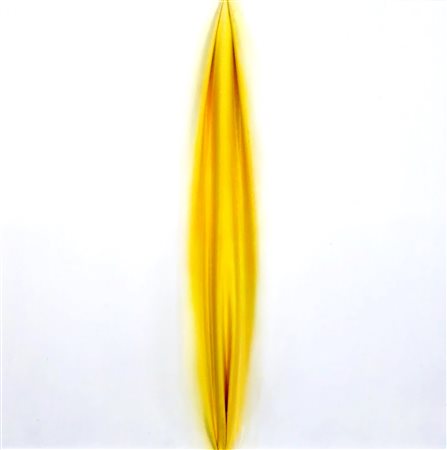 JORRIT TORNQUIST, senza titolo, 2005