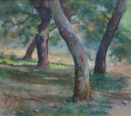 AMEDEO TEDESCHI, Studio di alberi