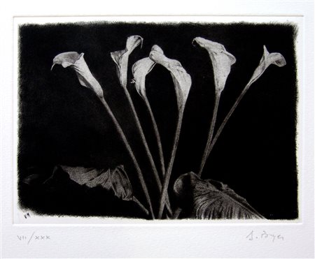 ANDREA BOYER, senza titolo