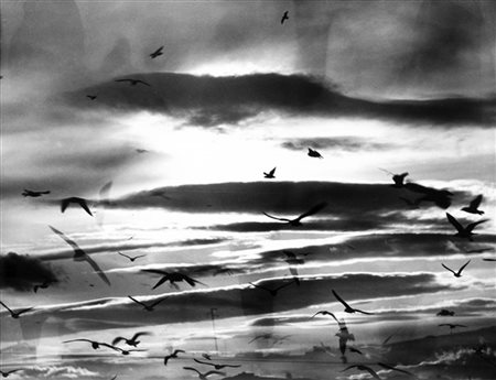 Mario Giacomelli Gabbiani 1980 ca.

Stampa fotografica vintage alla gelatina sal