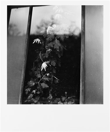 Issei Suda La finestra 1970 ca.

Stampa fotografica vintage alla gelatina sali d