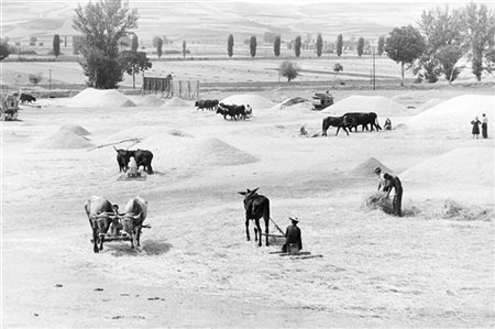 Edouard Boubat Castille 1957

Stampa fotografica vintage alla gelatina sali d'ar