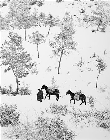 Fulvio Roiter Umbria 1954

Stampa fotografica vintage alla gelatina sali d'argen