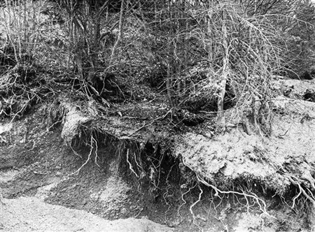 Mario Giacomelli Astrazione 1980 ca.

Stampa fotografica vintage alla gelatina s