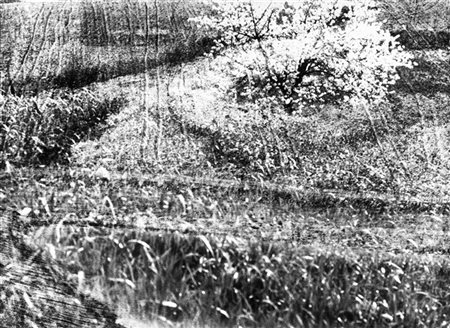 Mario Giacomelli Paesaggio 1980 ca.

Stampa fotografica vintage alla gelatina sa