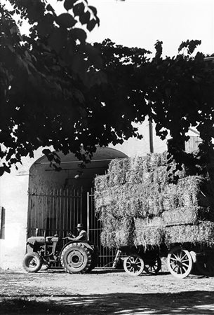 Riccardo Moncalvo Campagna piemontese 1940 ca.

Stampa fotografica vintage alla