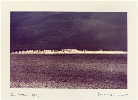Franco Fontana Landscape 1979

Stampa fotografica vintage a colori procedimento