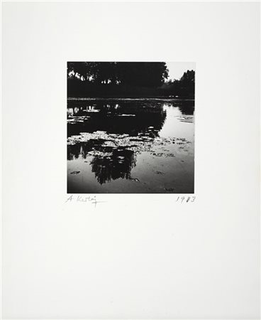 Andre Kertesz Pond with reflection 1913

Stampa fotografica alla gelatina sali d