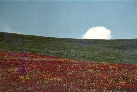 Franco Fontana Paesaggio 1970

Stampa fotografica a colori procedimento cromogen