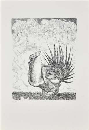 Abacuc VOLATILE incisione su carta, cm 50x35 (lastra cm 31,5x24,5) esemplare...