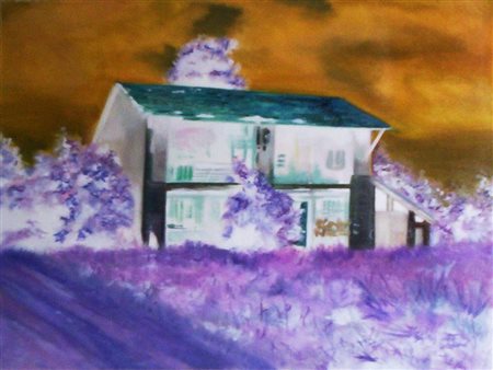 TERUZZI ANDREA Desio (mb) 1986 negative art- fienile 2017 Tecnica mista su...