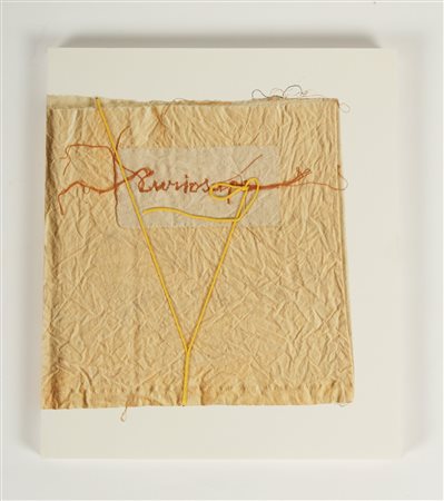 MARIA LAI Curiosape.