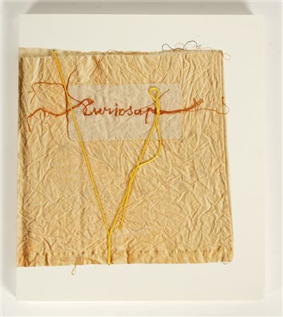 MARIA LAI Curiosape.