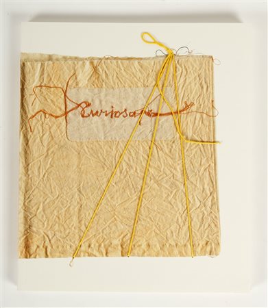 MARIA LAI Curiosape.