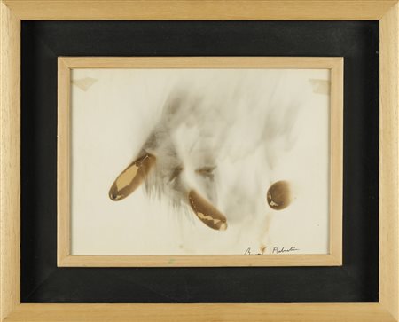 BERNARD AUBERTIN Dessin de feu.