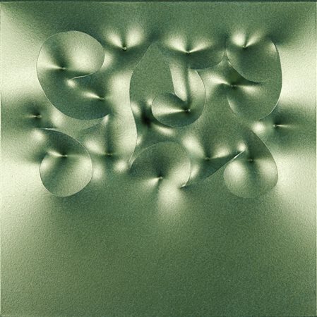 GIUSEPPE AMADIO Biolmo. .