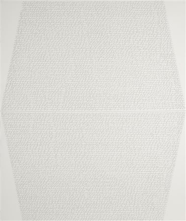 ALFREDO RAPETTI Superficie n.2.