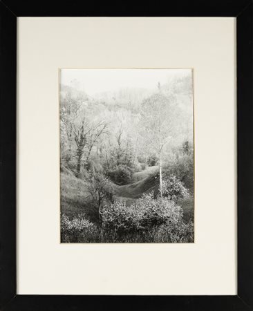 GIUSEPPE BRUNO Senza titolo.