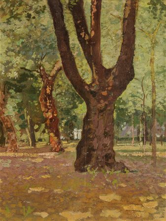 Carlo Passigli Alberi Olio su tavola, cm. 37,5x28