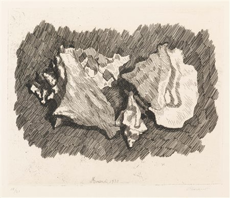 Morandi Giorgio - Natura morta con conchiglie, 1930