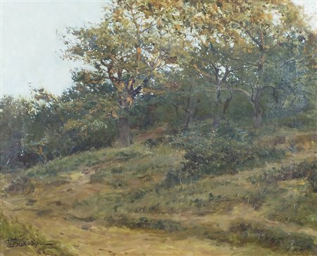 Giuseppe Barison Trieste 1853-1931 "Bosco carsico" cm. 45x55 - olio su tela...