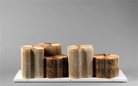 Stefano Arienti (Asola 1961)  - Turbine, 1990