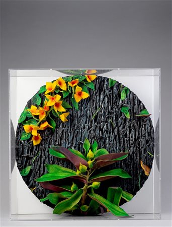 Piero Gilardi (Torino 1945)  - Miseria esotica, 2002