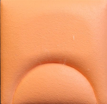 VENTANNI SAMUELE Introiezione rosa n