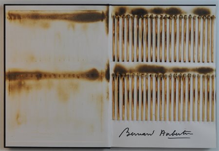 AUBERTIN BERNARD Livre Brulé Rosemberg