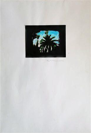 Mario Schifano “Oasi” 1981