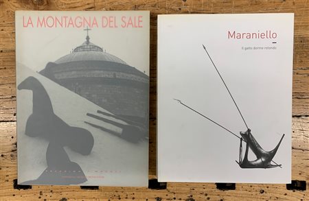 MIMMO PALADINO E GIUSEPPE MARANIELLO - Lotto unico di 2 cataloghi