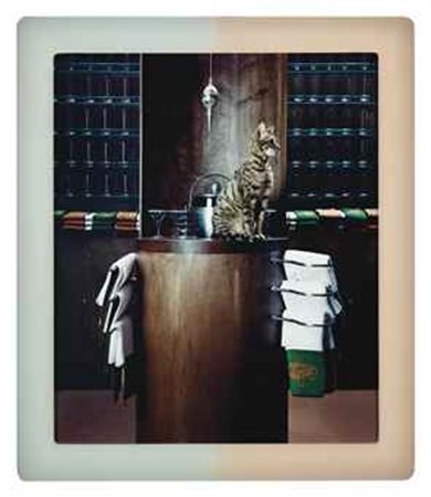 Matthew Barney (N. 1967) CREMASTER 3: Plumb Line siglato e datato MB01 (sul...