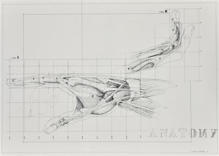 Sebastiano Trovato Anatomy tecnica mista su carta, cm 50x70 sul fronte:...