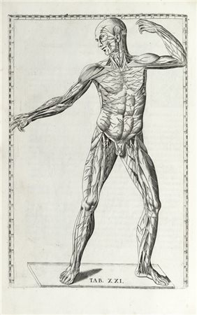 EUSTACHI, Bartolomeo (c.1500-1574) - Tabulae anatomicae. Roma: Francesco Gonzag