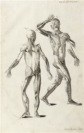 EUSTACHI, Bartolomeo (c.1500-1574) - Tabulae anatomicae. Venezia: Bartolomeo Lo