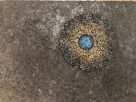 Caterina Valleri, Why are you so scared, 2019