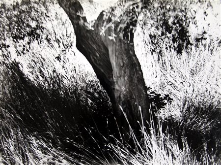 MARIO GIACOMELLI, senza titolo, 1968