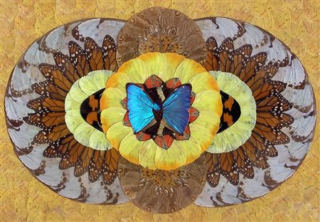 Hugo Coronel SENZA TITOLO composizione di ali di farfalla su carta, cm 23x18...