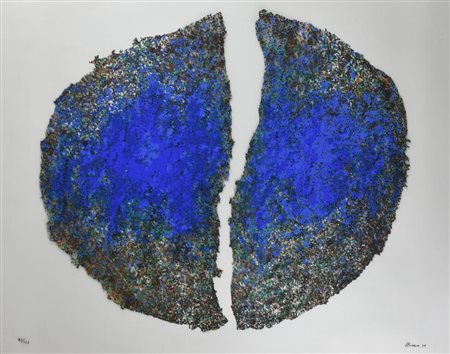 Renzo Nucara AMA LA NATURA serigrafia su pvc neutro, cm 70x90 esemplare 83 su...