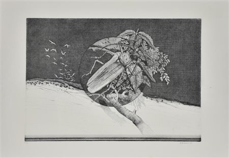 Giuseppe Giannini Senza titolo incisione su carta, cm 50x70 (lastra cm 34x49)...