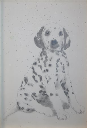 CORSINI V. Cagnolino