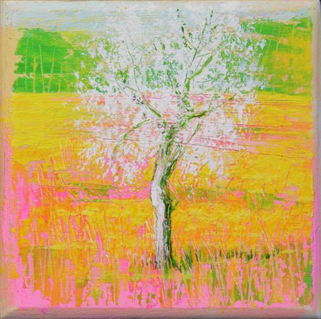 SOAVE MARIO Albero in fiore